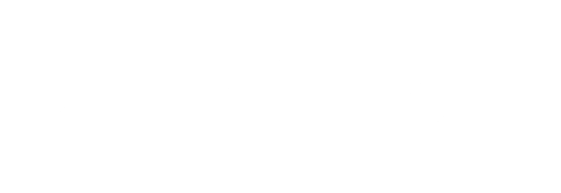 EV